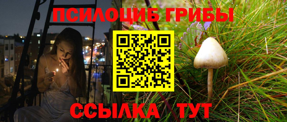 Псилоцибиновые грибы Magic Shrooms Артём