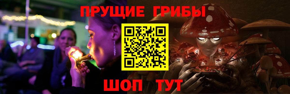 Артём  Галлюциногенные грибы GOLDEN TEACHER  Вход с VPN 